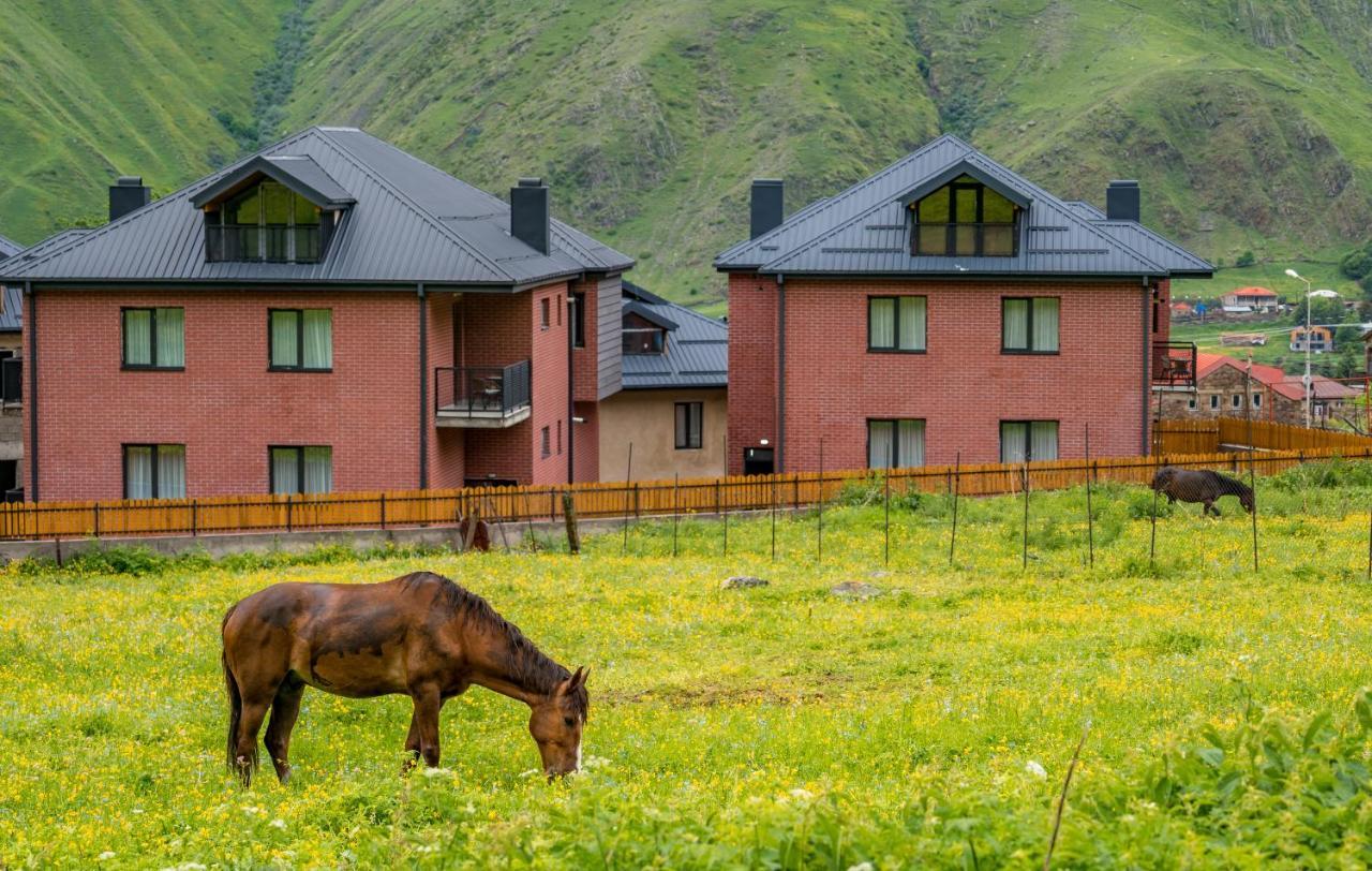 Devdaraki Apartments Kazbegi Exterior foto